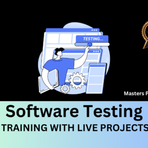 software testing